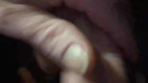 hardpornz online show from 12-26-24, 06:19