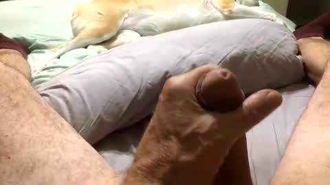 Harley99 online show from 11-11-25, 01:16