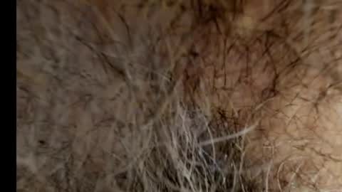 harry_banana online show from 02-21-25, 08:40