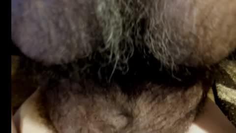 harry_banana online show from 03-08-25, 08:55