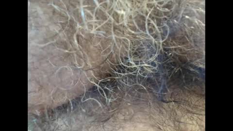 harry_banana online show from 09-11-25, 01:11