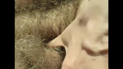 harry_banana online show from 11-30-25, 03:27