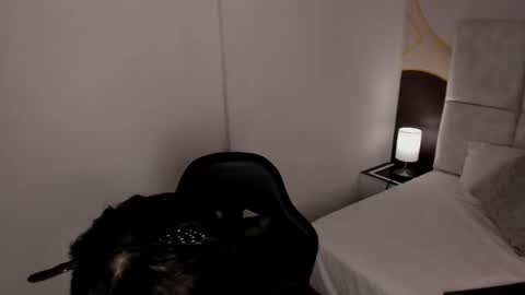 Snapshot of has_gonzalezz chatting on 11-26-25, 04:46 has_gonzalezz online show from 11-26-25, 04:46