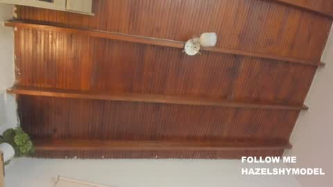 Snapshot of hazel_shy chatting on 02-02-25, 01:55 Im Hazel online show from 02-02-25, 01:55