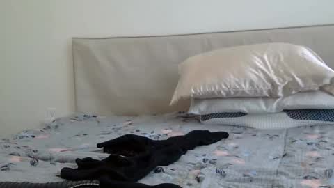 Snapshot of heatwavee chatting on 02-02-25, 08:08 heatwavee online show from 02-02-25, 08:08