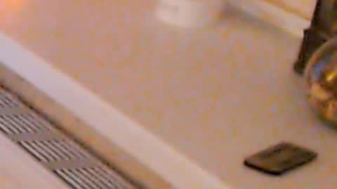 Snapshot of heaven_chloe chatting on 01-04-25, 02:14 Heaven girl online show from 01-04-25, 02:14