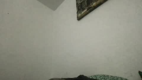 Snapshot of heff919 chatting on 06-20-26, 03:42 Thisisheff online show from 06-20-26, 03:42