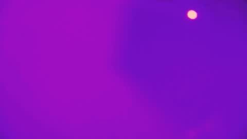 heidikendal online show from 02-26-26, 03:22