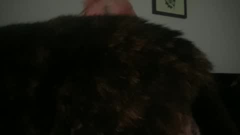 Bunnie Rotz online show from 03-02-25, 02:32