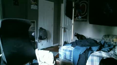 longhairbeardedguy online show from 04-10-26, 11:48