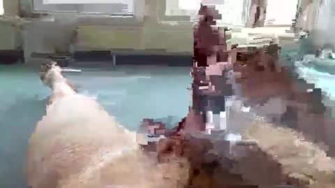 Snapshot of hera44 chatting on 10-09-25, 10:57 hera44 online show from 10-09-25, 10:57