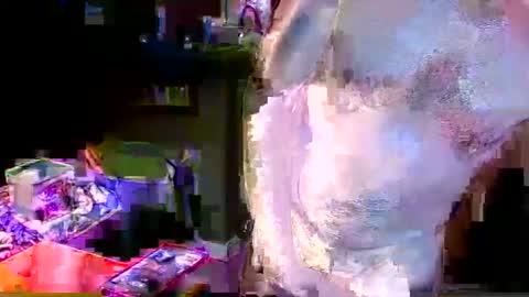 Snapshot of herb60657 chatting on 11-04-25, 01:54 herb60657 online show from 11-04-25, 01:54