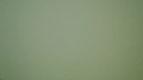 John Pearl online show from 12-30-24, 10:01