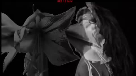 Snapshot of hetaerart chatting on 06-24-26, 07:13 Sasha online show from 06-24-26, 07:13