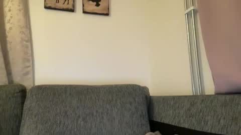 Snapshot of hichemlacoste333 chatting on 11-01-25, 12:34 hichemlacoste333 online show from 11-01-25, 12:34