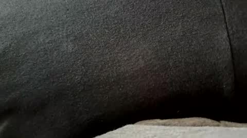 Snapshot of higheguy chatting on 02-20-26, 05:46 higheguy online show from 02-20-26, 05:46