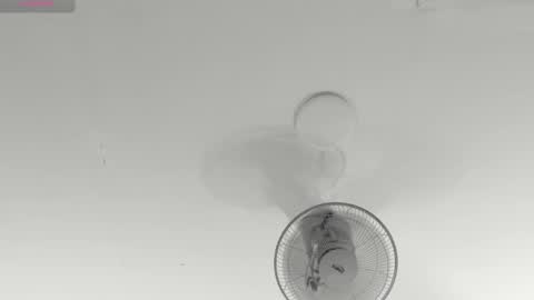 hilary_tailor online show from 01-15-26, 11:04