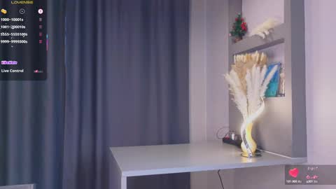 Snapshot of hisoka__akerley chatting on 02-22-25, 07:01 Ella online show from 02-22-25, 07:01