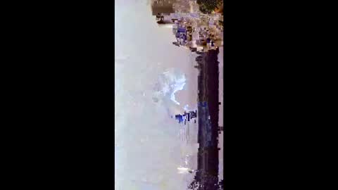 hoglegg99384194 online show from 01-15-26, 11:48