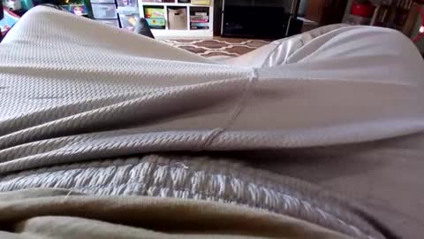 holycannoli123 online show from 10-15-25, 01:22