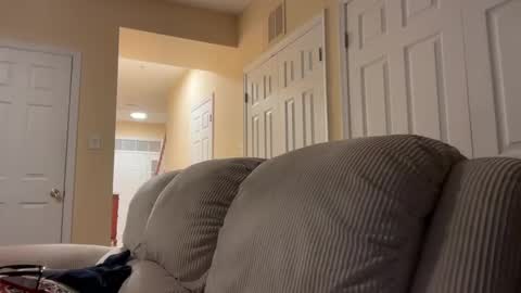 honey_man14 online show from 12-17-24, 08:34