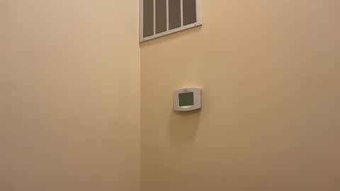 honey_man14 online show from 02-19-25, 06:32