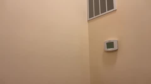 honey_man14 online show from 02-26-26, 05:56