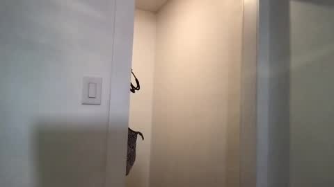 HoneyBeeXx69 online show from 03-05-25, 02:25