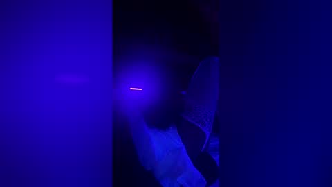 honeybuhnny online show from 04-22-26, 10:50