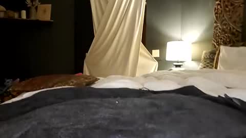 Honey online show from 10-17-25, 06:27