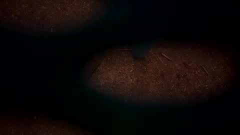 Snapshot of hopper_in_joyce chatting on 03-02-25, 09:10 hopper_in_joyce online show from 03-02-25, 09:10