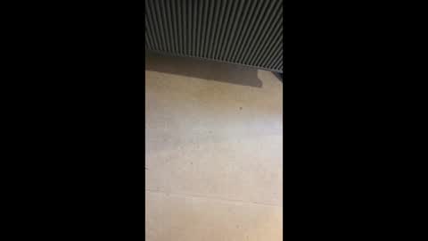 horny4more691 online show from 03-10-26, 06:57