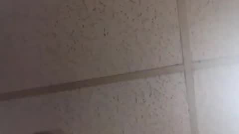 Dominick Subversal online show from 02-20-26, 02:06