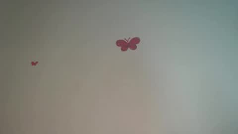 Iris online show from 04-04-26, 08:28