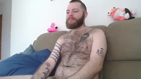Snapshot of hornyhairy_bi chatting on 02-24-25, 03:42 Harry online show from 02-24-25, 03:42