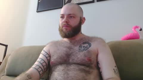 Snapshot of hornyhairy_bi chatting on 10-23-25, 10:52 Harry online show from 10-23-25, 10:52