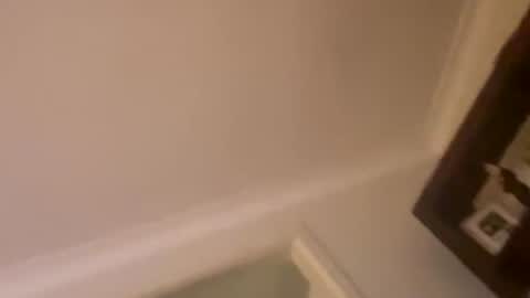 Snapshot of hornyonelooking1 chatting on 12-01-25, 12:32 hornyonelooking1 online show from 12-01-25, 12:32