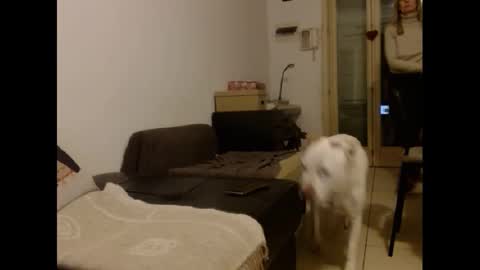 Snapshot of hornyssima chatting on 01-12-25, 05:01 Hornyssima online show from 01-12-25, 05:01