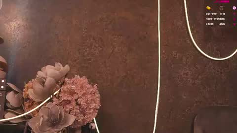 Ann online show from 06-12-26, 04:33