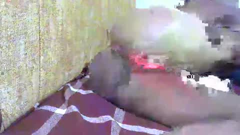 Snapshot of hot_ebony11 chatting on 02-16-25, 07:05 chooo pie online show from 02-16-25, 07:05