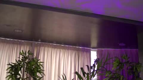 Anais online show from 10-27-25, 09:57