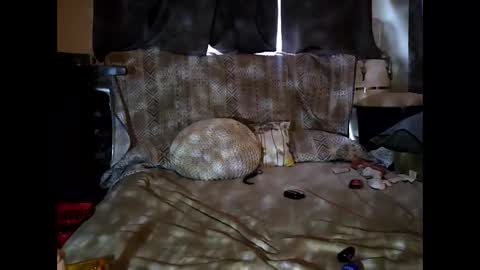 hotrox6942 online show from 09-24-25, 10:51