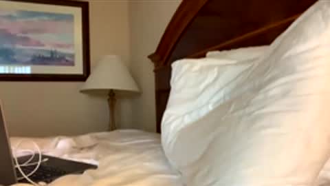 hottiewithabody101 online show from 04-25-26, 01:36