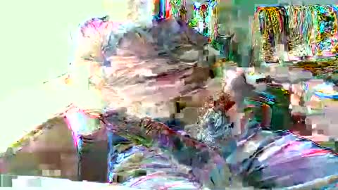 Hottop 1981 online show from 04-19-26, 04:39