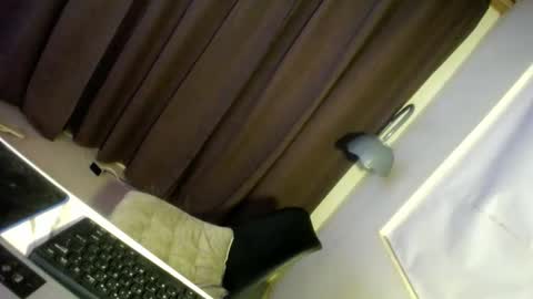 Snapshot of hugcock69_precious chatting on 12-29-24, 06:56 Precious online show from 12-29-24, 06:56