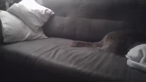 Snapshot of huguit026 chatting on 02-04-25, 11:27 huguit026 online show from 02-04-25, 11:27