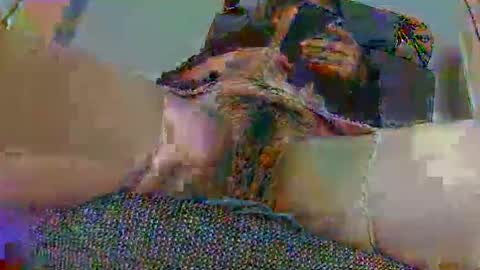 Snapshot of hujiajia520321431 chatting on 11-10-25, 11:53 hujiajia520321431 online show from 11-10-25, 11:53