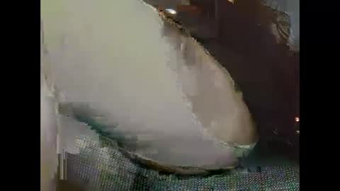 Snapshot of hujiajia520321431 chatting on 11-19-25, 10:59 hujiajia520321431 online show from 11-19-25, 10:59