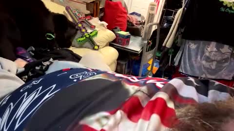 hulk1148 online show from 12-01-24, 06:52