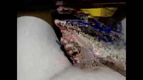 hung_mac0 online show from 02-17-26, 02:13